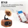 Mikrofone Mikrofone Retro Music S er Vintage BT Wireless Portable Outdoor 230816