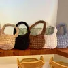 Hobo Nuovo sacchetto di cotone spaziale invernale per donne 2022 borsette a pezzi da donna con borse da viaggio imbottite di piume HKD230817