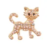 Broches broches simples drip huile jardinie étoile de mer à lèvres lèvres à lèvres animaux de chat broch broche colocineuse de vêtements de vêtements de la décoration