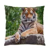 Cuscino Decorazione per la casa di alta qualità Natura Paesaggio Tiger Tiger Camera da letto comodo in poliestere Velvet E0823