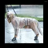 Hondenkleding Regenjas Vierpoten Waterd waterdichte all -Inclusive Golden Hair Firewood Pet Small Medium en grote kleding