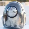 고양이 캐리어 명확한 Littlest 케이지 가방 운송 배낭 새끼 고양이 상자 야외 참신 Mochila Transportadora de Gatos 애완 동물 용품