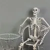 Andere Event -Party liefert 90 cm Halloween Horror Anatomie Bewegbares Schädel Skelett