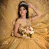 Gold Quinceanera Vestidos fora do ombro Glitter Junor Girls Prom Party Festy Apliques Apliques de gravata borboleta Princesa Vestidos de 15 Anos