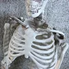 Andere Event -Party liefert 90 cm Halloween Horror Anatomie Bewegbares Schädel Skelett