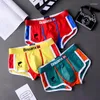 Caleçon 3 Pcs/Lot hommes culottes sous-vêtements en coton boxeurs ensemble hommes mode dauphin Boxershorts tendances jeunesse personnalité Homme