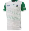 2023 Limerick Cork Dublin Gaa Forma 22 23 Down Louth Antrim Wexford Wicklow Laois Mayo Hurling Derry Derry Westmeath Ev Uzak Gömlek