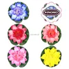 Dekorative Blumen Kränze Plastikpflanzen Lilly Pads Lotus Blumen Dekor Teich Dekorationen schwimmende Blume Künstliche Blumen HKD230818