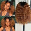 Fashion Perücke kleine Curl -Perücke Schwarzbraun allmählicher Veränderung langer Curl Chemical Faser Head Cover 230818