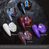 Nail Glitter holografiska pulver Transparent multifunktionellt pulver hologram iriserande pigment toppklass Rainbow 230816