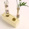 Vases VASE VERRE NORC VASE NORDE BOUR LE TUBE CRISTARE CRISTARE TUBE HYDROPONIQUE CONTENEUR DE PLANTER