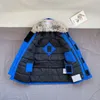 Bebek Down Ceketler Katlar Çocuk Tasarımcı Giysileri Parka'nın Erkek Kız Ceket Lüks Dış Giyim Genç Giyim Kalın Çıkış Lüks Çocuklar