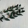 Dekoratif Çiçek Çelenkleri 12 PCS/10 ~ 20 cm Gerçek Doğal Küçük Kurutulmuş Yapraklar Şubeler Korunmuş Okaliptüs Tenuifolia DIY Mum Yapma Reçine HKD230818