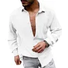 Men's Casual Shirts Autumn Cotton Linen Men Beach Leisure Loose Breathable Shirt Vintage Solid Buttoned Lapel Long Sleeve