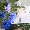 Couronnes De Fleurs Décoratives Bleu Nordique 3 Têtes Longue Branche Bleuet Étoilé Soie Artificielle Maison Décoration De Mariage Flore Fleurs Artificielles HKD230818