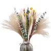 Fleurs décoratives 93pcs décor séché à la maison Pampas Grass Multiduty Bouquet naturel Bouquet sec coloré artificiel pratique de rangement cadeau