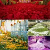 Dekorativa blommor kransar 500/1000pcs Artificial Rose Petals Wedding Petalas Colorful Silk Flower Accessories Decoration 50% HKD230818