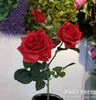 Kwiaty dekoracyjne Wysoka symulacja prawdziwa dotyk 3 głowy silikonowe sztuczna róży róży nawilżająca ręka Feel LaTex Roses Bunch 12 szt.