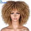 Syntetiska peruker Kort hår afro kinky lockig peruk med lugg lös syntetisk cosplay fluffiga naturliga peruker för svarta kvinnor mörkbrun 10 "Gembon HKD230818