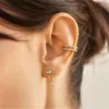 Studörhängen Roxi Round Zircons Tassel 925 Sterling Silver For Women Long Chain Piercing Earring Weddin Party Gift