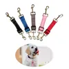 Colliers de chien 5pcs formation en nylon durable sangles réglables multifonctions clips de collier de course marche chat pivotant à double extrémité