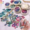 Nagelkonstdekorationer TCST 050 Oregelbundna naglar Abalone Shell Fragments Texture Natural Sea 3D Glitter Decoration Powder Pulver Sequins Beauty 230816