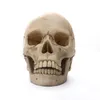 Decoratieve objecten Figurines 1 Human Head Skull Standbeeld voor woninginrichting Hars Halloween Decoratie Sculptuur Lesschetsmodel Crafts 230817