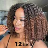 Syntetiska peruker 12''Short Hair Afro Kinky Curly Wig For Black Women Ladies Cosplay Lolita Syntetiska naturliga Glueless Brown Mixed Blonde peruker HKD230818