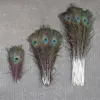 Other Hand Tools 102050PCS Natural Peacock Feathers 2565CM for Wedding Party Table Center Vase Decor Jewelry Making Crafts Plume Accessories 230817