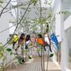 Dekorativa föremål Figurer Färgfönster Bird Pendant Wind Chime Metal Tropical Bird Hanging Decorations Family Door Crafts Home Accessories 230817