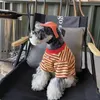 Vêtements de chien Stripe tshirt chiens vêtements pour animaux