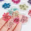 Nagelkunstdecoraties 100 stcs gedroogde bloemen decoratie charmes natuurlijke bloemenstickers diy manicure accessoires voor UV -gel Poolse benodigdheden 230816