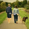 Hundeträger Promotion! 2 Pack -Behandlungsbeutel -Training mit Taillenschultergurt 3 Möglichkeiten zum Tragen leicht Spielzeug Kibb tragen