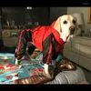 Dog Abbigliamento prodotti per animali domestici impermeabili di colore rosso verde striscia grande forniture per pioggia capricci arma da pioggia impermeabile
