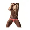 Underpants 8pcs Männer Baumwolle sexy Unterwäsche Boxer Shorts 3D Print Gürtel Penis Beutel Entworfener Bulde Gay Boxer Mann Underpant