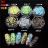 Nail Glitter TCT 073 Holographic 12 Color Solvent Resistant Mylar Shard For Art Decoration Gel Eye shadow Makeup DIY Manual 230816