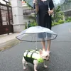 Dog Apparel Rain Scattered Medium-Sized Small Jarre Aero Bull Pug Teddy Pet Puppy Umbrella Waterproof Walking Artifact