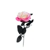 Couronnes De Fleurs Décoratives Simulé Rose Vintage Noir Chevalier Rose Unique Simulation Fleur Cool Beau Garçon Homme Cadeaux Heureux Garçons Fête D'anniversaire Décor HKD230818