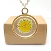 Colliers pendants Sunflower Helianthus Real Flower Transparent Transparent Lisquet Gol Color Long Collier Femmes Boho Fashion Bijoux