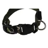 الياقات الكلاب Leashes Green L Pets LED LED LEPARD NIGH