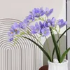 Dekoratif Çiçekler 3D Gerçek Touch Yapay Cymbidium Orkide Yaprakları ile Lateks Phalaenopsis Düğün Centerpieces Ev Çiçeği