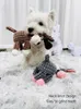 Zabawki dla psów żucia brzmiące zabawkowe trening molowy interaktywny kukurydza osioł Ziarna Pet Pet 230818