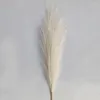 Decorative Flowers Artificial Pampas Grass Bouquet Wedding Party Aesthetic Room Home Decor Decoration Plant Simulation Fake Dried Reed