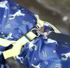 Abbigliamento per cani piccoli impermeabili possono essere rimovibili Waterproof riflettente con cappuccio con cappuccio di poliestere vestiti per animali domestici