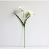 Dekoratif Çiçekler 3D Gerçek Touch Yapay Cymbidium Orkide Yaprakları ile Lateks Phalaenopsis Düğün Centerpieces Ev Çiçeği