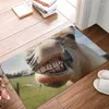 Dywany śmieszne konia śmiech drogę antypoślizgową mat w łazience mata salonu do drzwi podłoga dywan dywan dywan