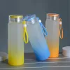 Сублимация бутылка с водой 500 мл замороженных стеклянных бутылок с градиентом пустых пустых посуды