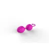 Rose Smart Ball Women Postpartum Postpartum Vaginal Dumbell's Fun Care Products Green Baby Factory Prezzo all'ingrosso