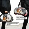 Carriers Cat Cane Transport Bag Travel Traveling Cuppy Spalla Paglier Porta per borsette per esterni
