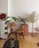 Table Lamps Nordic Fritillary Lamp Korean Fresh Girl Heart B & Living Room Decoration Bedside Shell